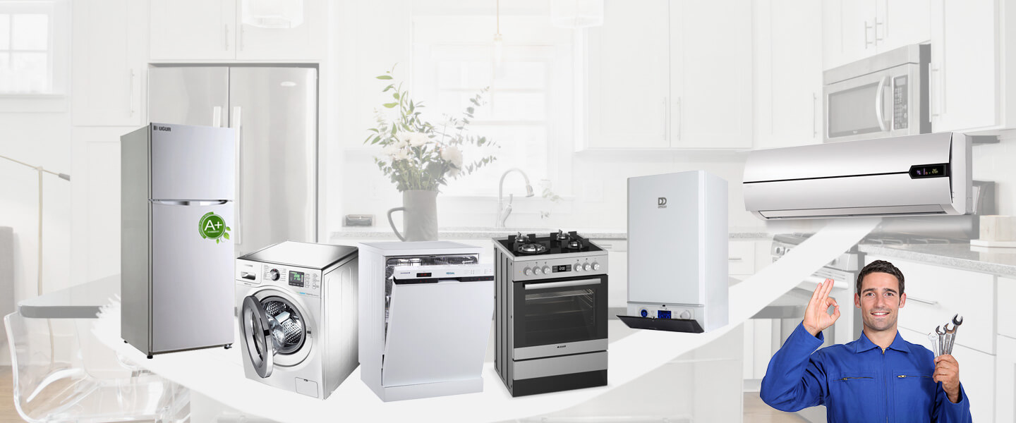 Eruh Electrolux Servisi